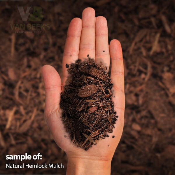Hemlock Mulch